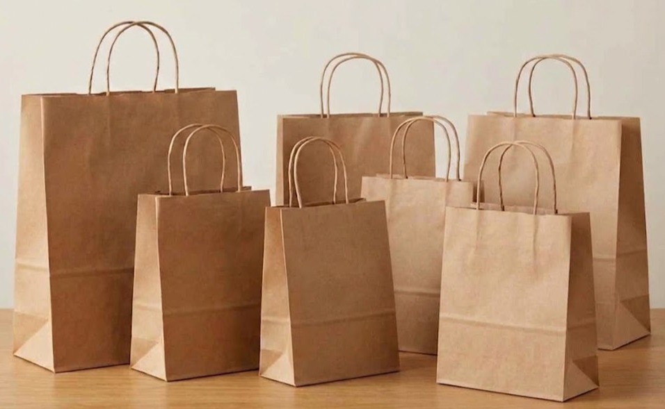 Kraft Paper Handle Bags Manufacturer in Surat & Mumbai - Ezzy Products