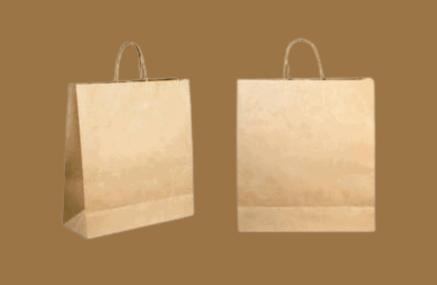 paper bag with handle